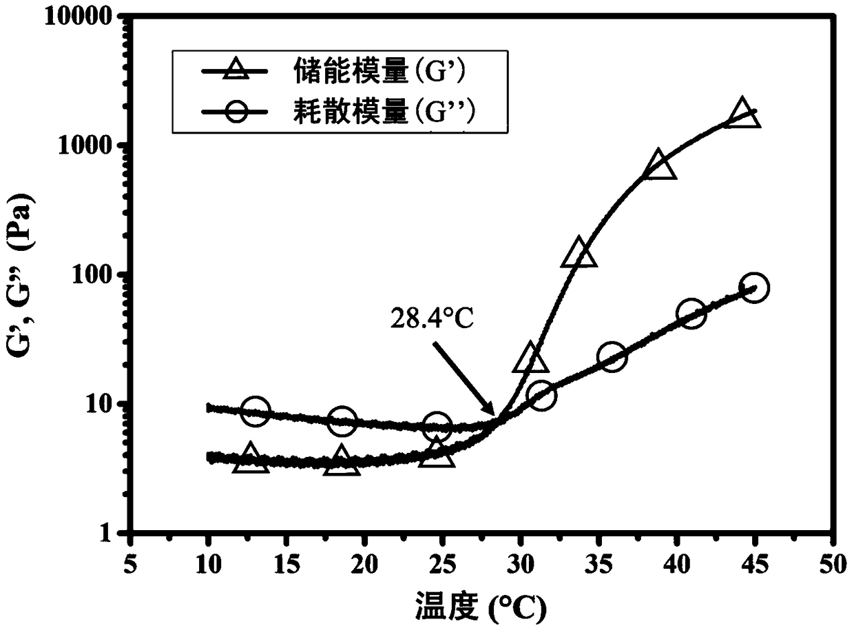 Injectable body-temperature-cured temperature-self-control thermotherapy magnetic hydrogel and preparation method thereof