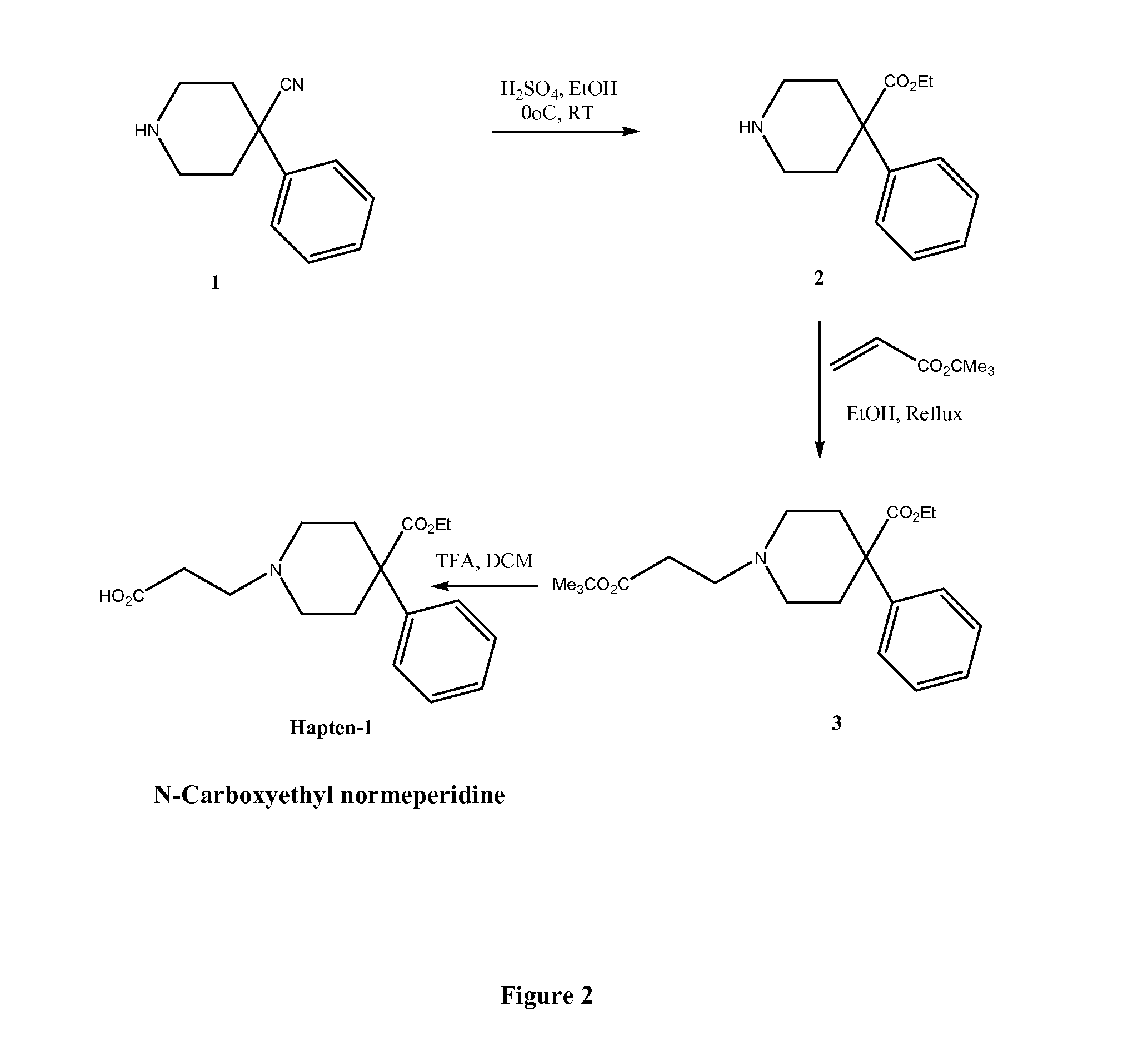 Immunoassays for meperidine and metabolites