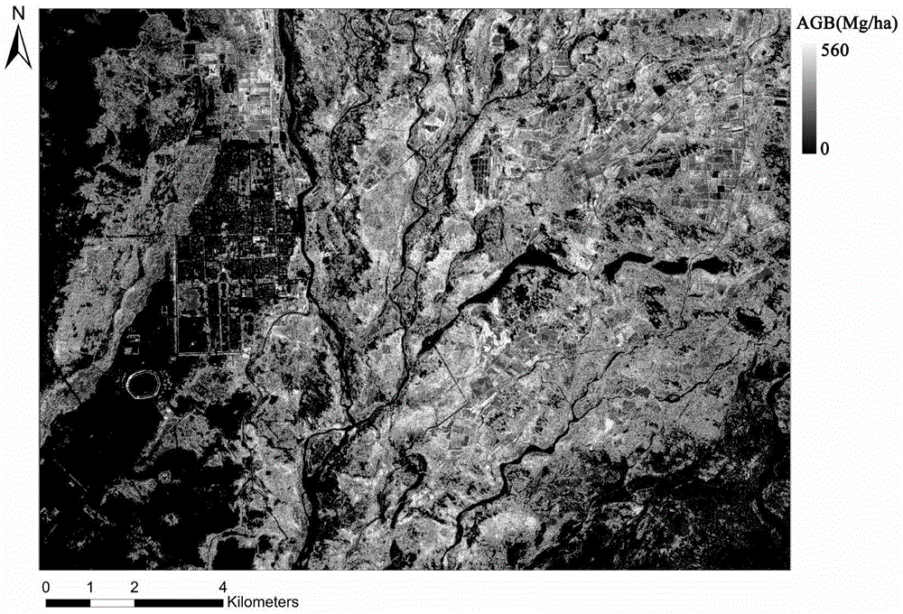 Forest aboveground biomass inversion method and system fused with spectrum and texture features