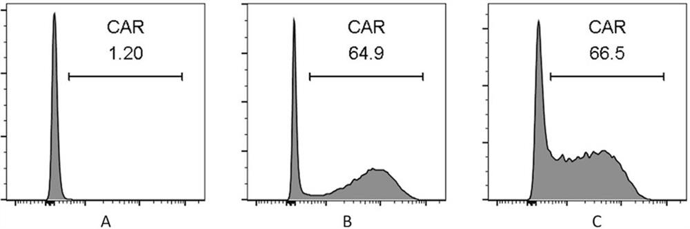 Fusion protein of cytokine combined with chimeric antigen receptor and its application