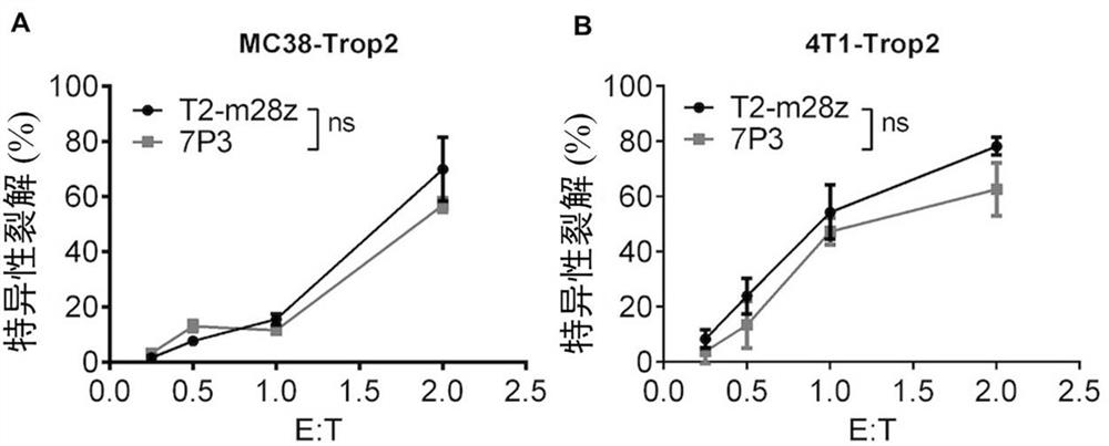 Fusion protein of cytokine combined with chimeric antigen receptor and its application