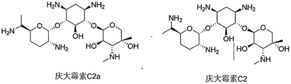 A kind of enhanced microbial fermentation to prepare gentamicin sulfate and application method thereof