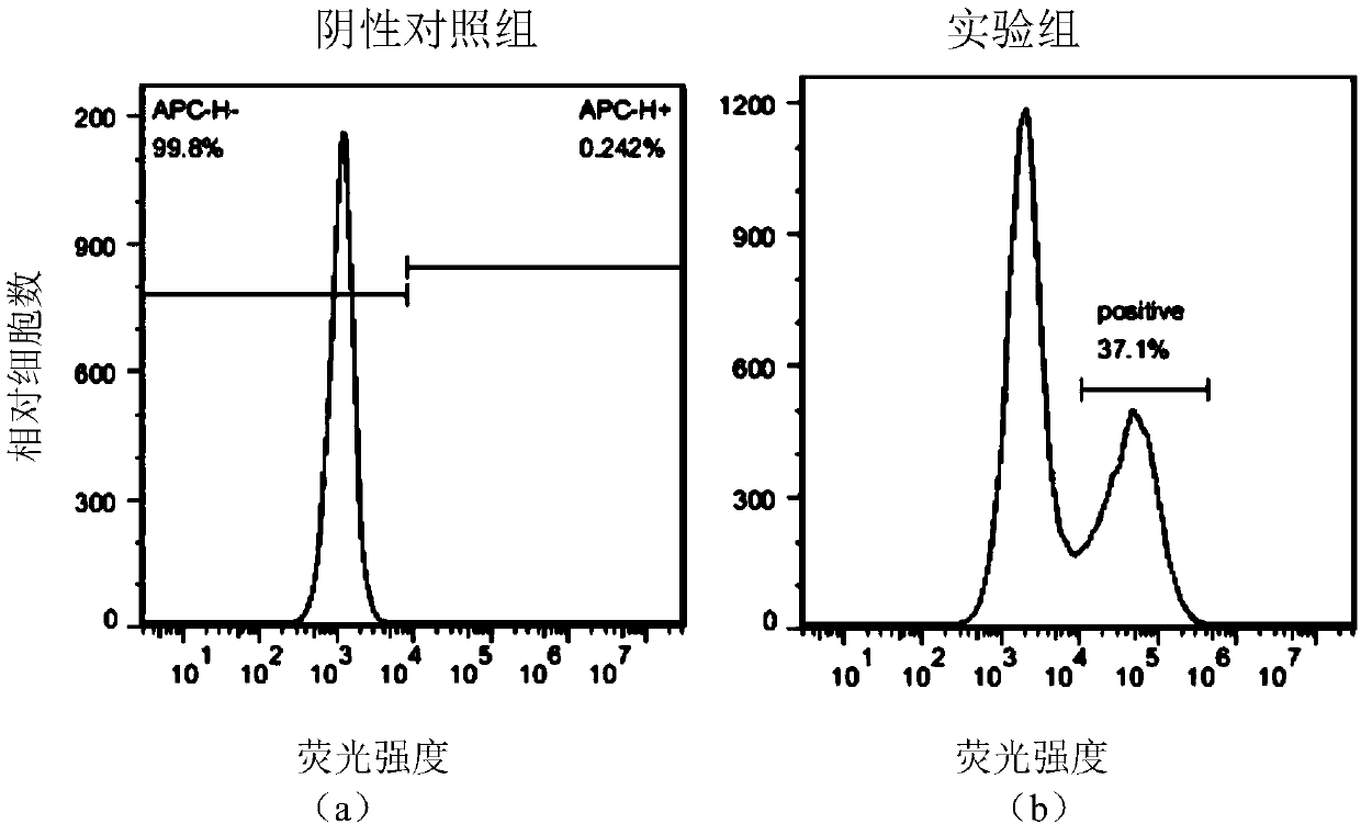 PD1-knockout chimeric antigen receptor T cell targeting CD317, preparation method and application thereof