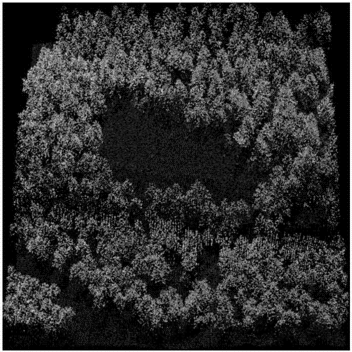 Method for measuring canopy gap three-dimensional structure based on laser radar