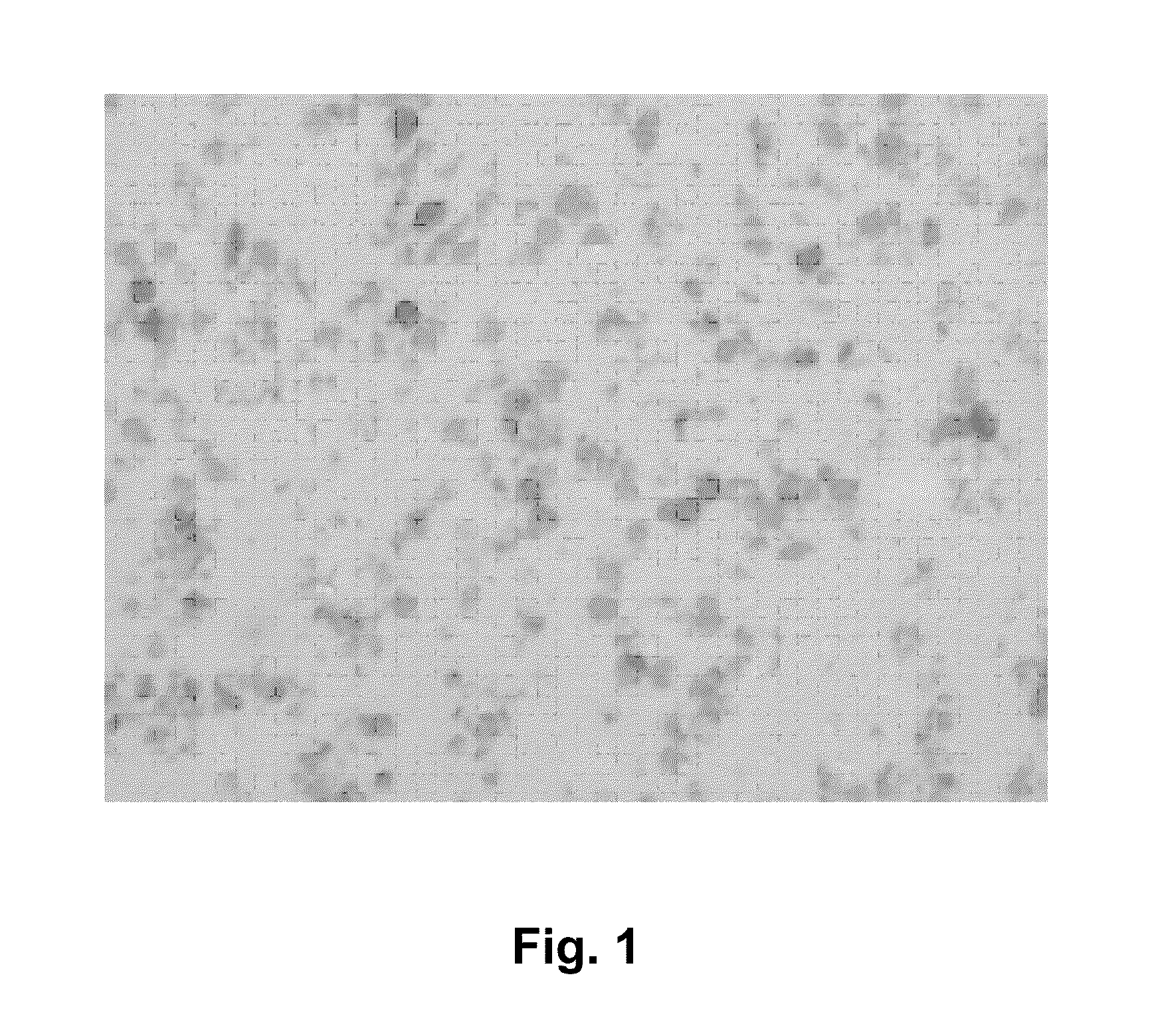 High temperature polymer blends of poly(aryl ether ketone phthalazinone)