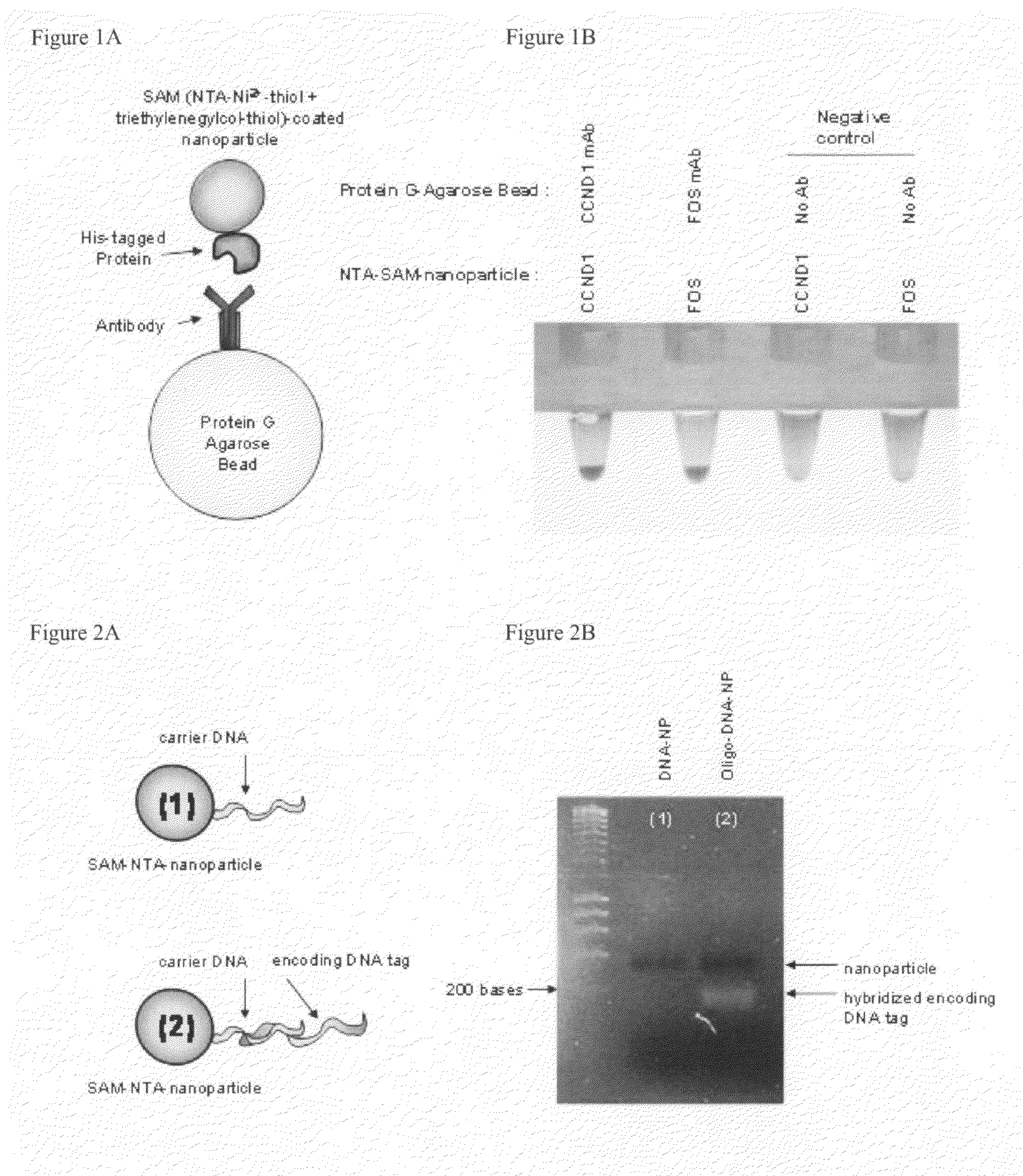 Method for treating cancer using interference RNA