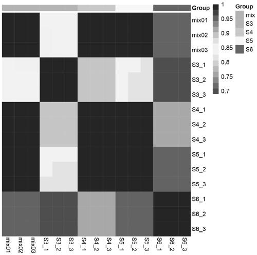 Method for evaluating honeysuckle characteristics based on marker flavonoids screened by metabolome