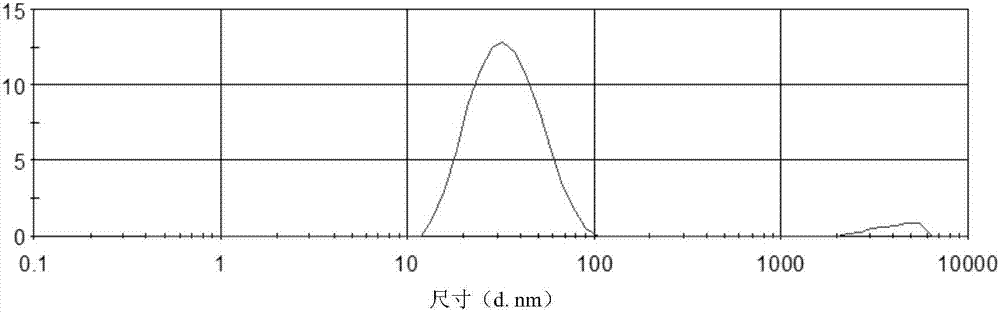 Traditional Chinese medicine compound microemulsion gel and preparation method and application thereof