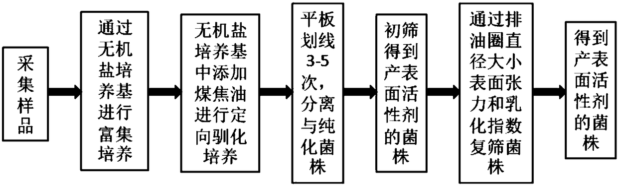 Bacteria capable of producing surfactant and application of bacteria to in-situ reduction of PAH (polycyclic aromatic hydrocarbon) in coal/ petroleum chemical wastewater