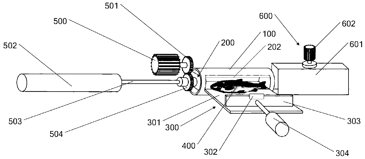 Automatic attitude adjusting equipment for freshwater fish segmentation system and segmentation system