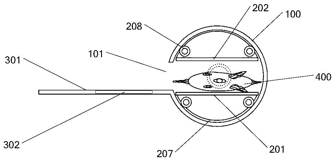 Automatic attitude adjusting equipment for freshwater fish segmentation system and segmentation system