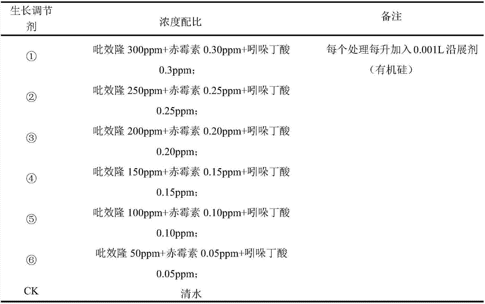 High-yield cultivation method for cucumber