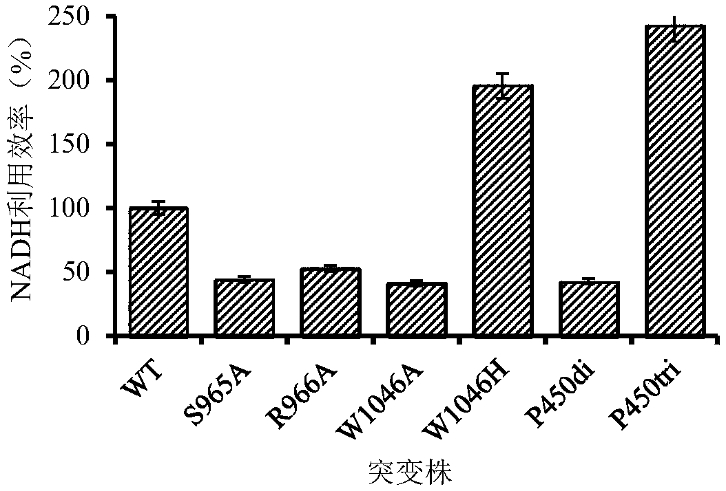 Mutation-modified bacillus megaterium ALA2 cytochrome P450 enzyme, and preparation method and application thereof