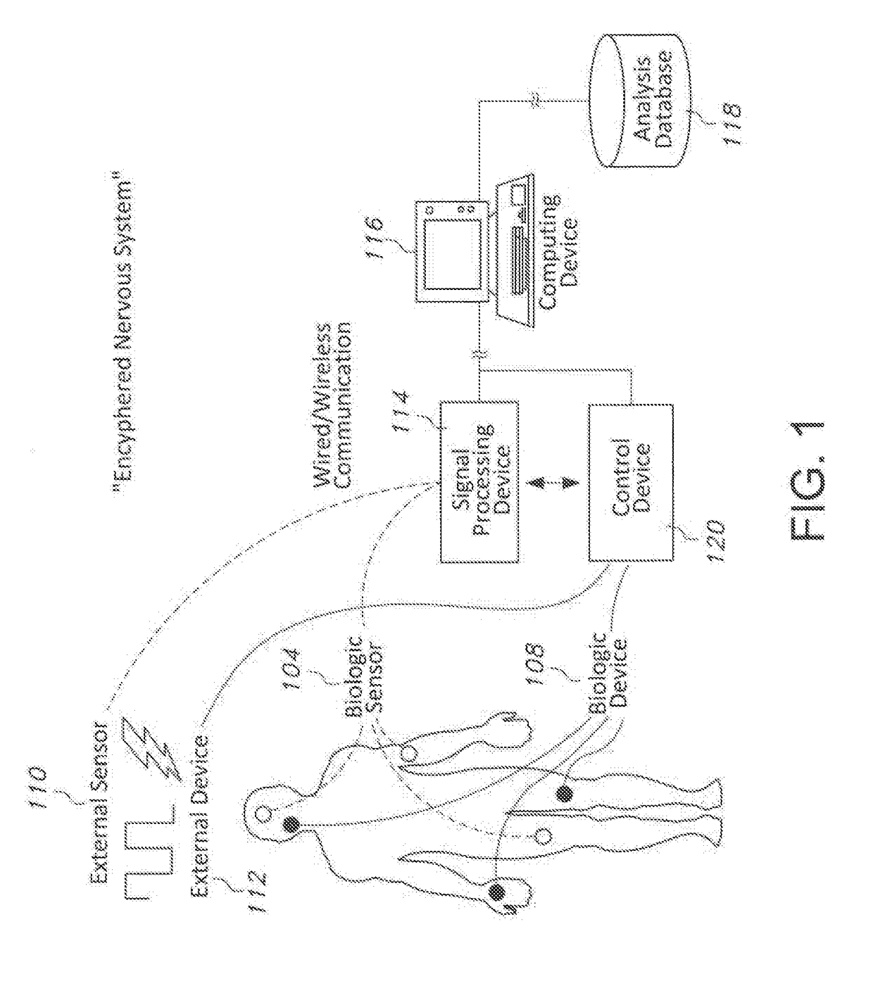 Method and apparatus for enhancing nervous function