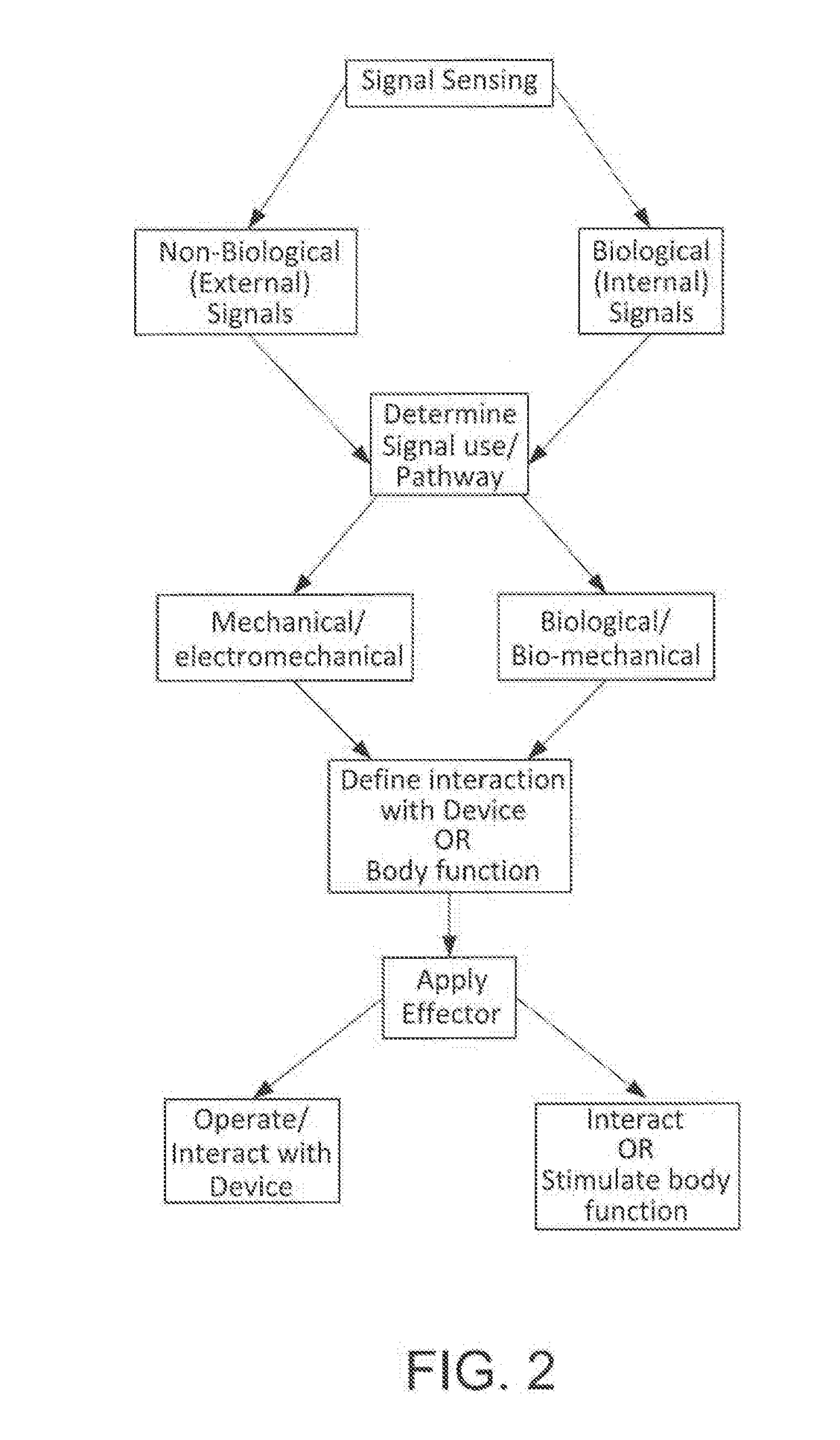 Method and apparatus for enhancing nervous function