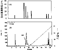 Antioxidant peptide from collagen and application thereof