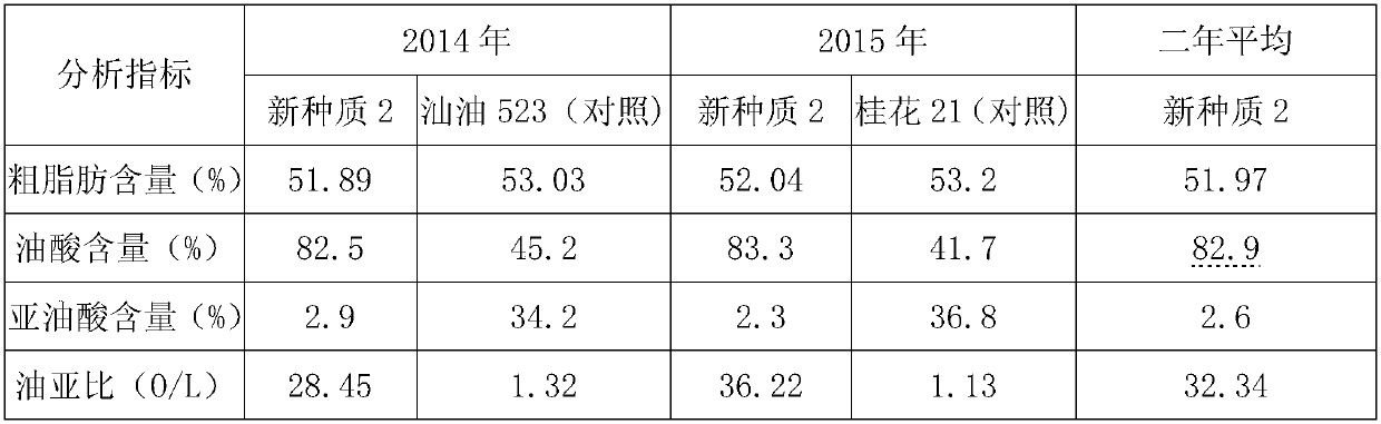 A kind of breeding method of peanut germplasm with high oleic acid