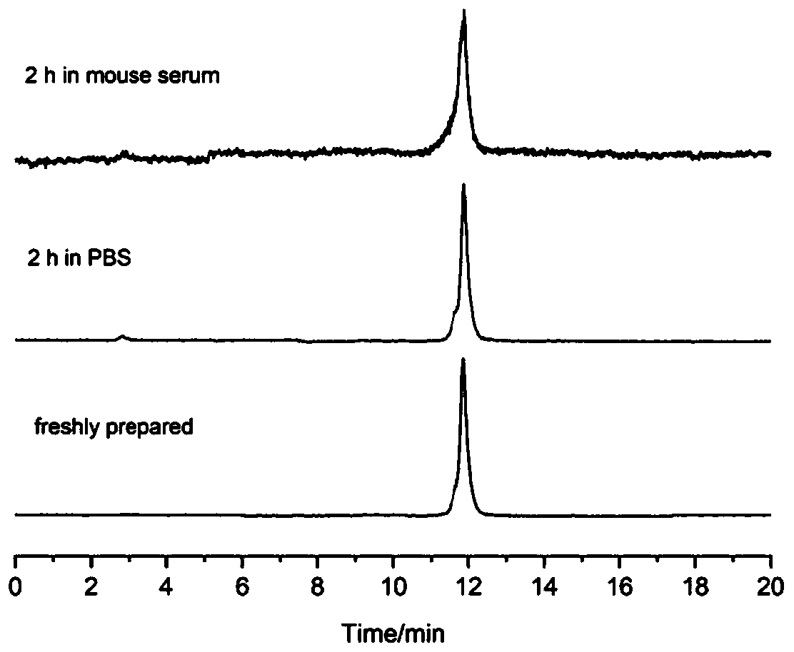 Radioactive complex targeting HER2 and preparation method and application of radioactive complex