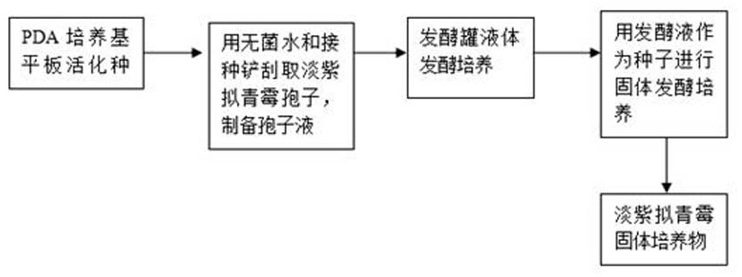 A microbial culture for preventing and controlling ground maggots and underground nematodes, a preparation method and a control method thereof