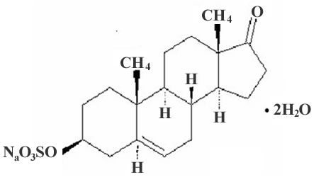 Pharmaceutical composition prepared with micronized prasterone or sodium prasterone sulfate and use thereof