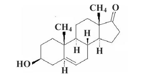 Pharmaceutical composition prepared with micronized prasterone or sodium prasterone sulfate and use thereof