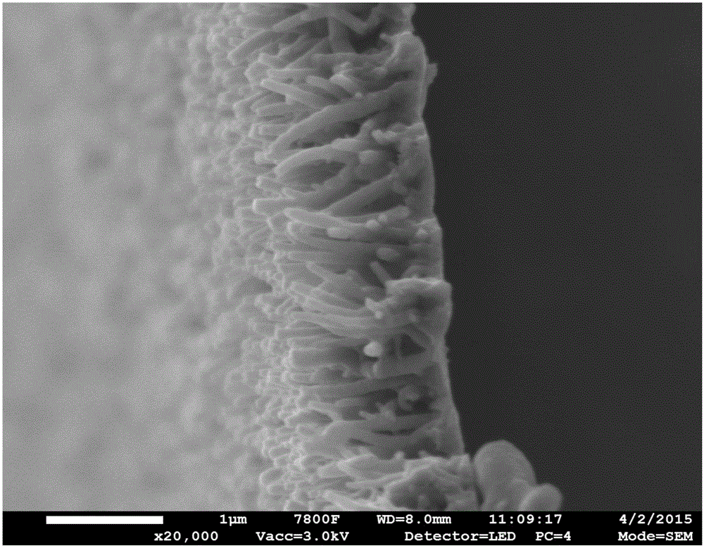 Ordered catalyst layer and preparation and application thereof