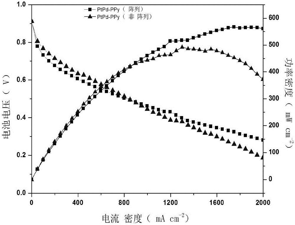 Ordered catalyst layer and preparation and application thereof