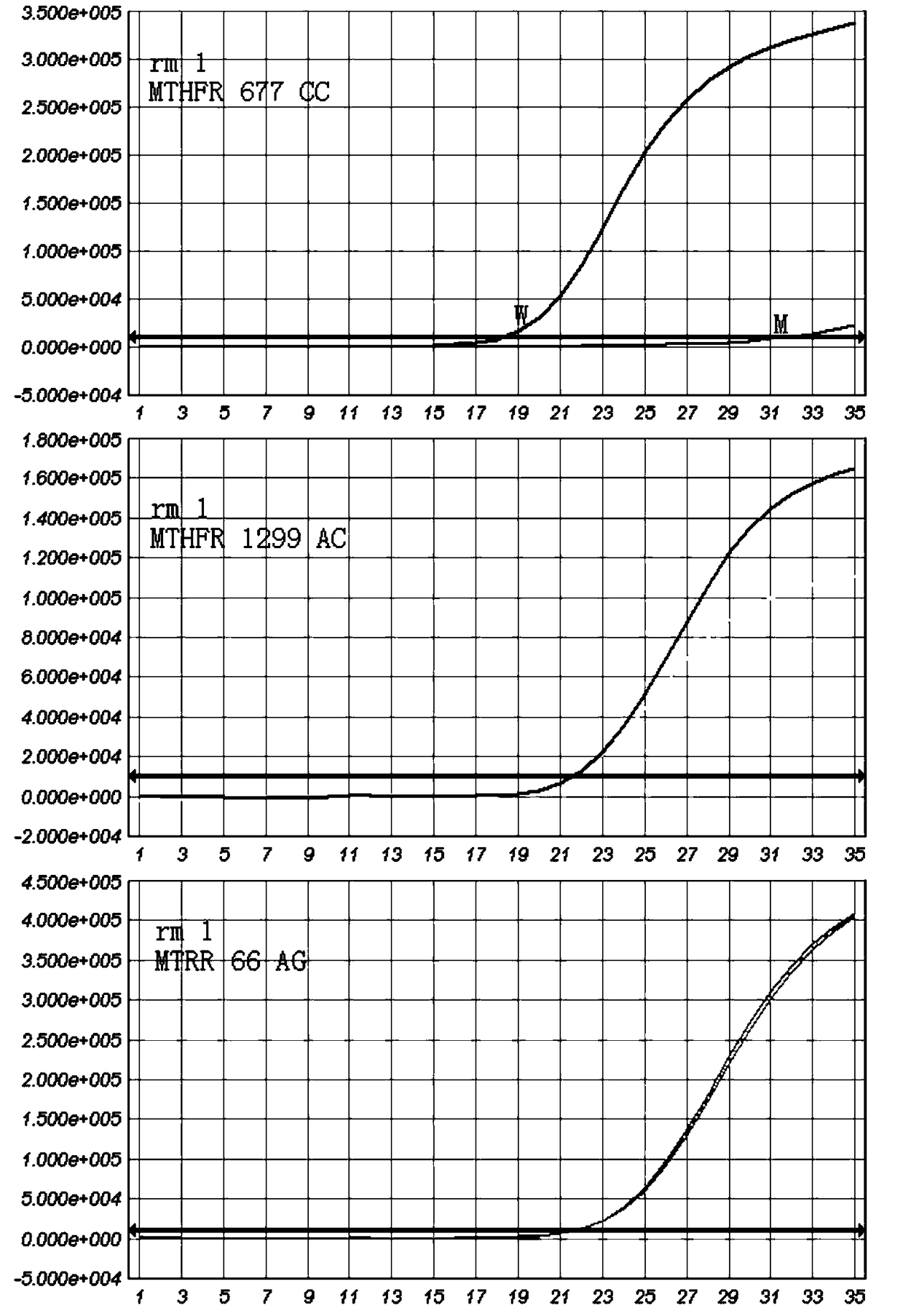 Mthfr and mtrr gene polymorphism detection primer sets and kits