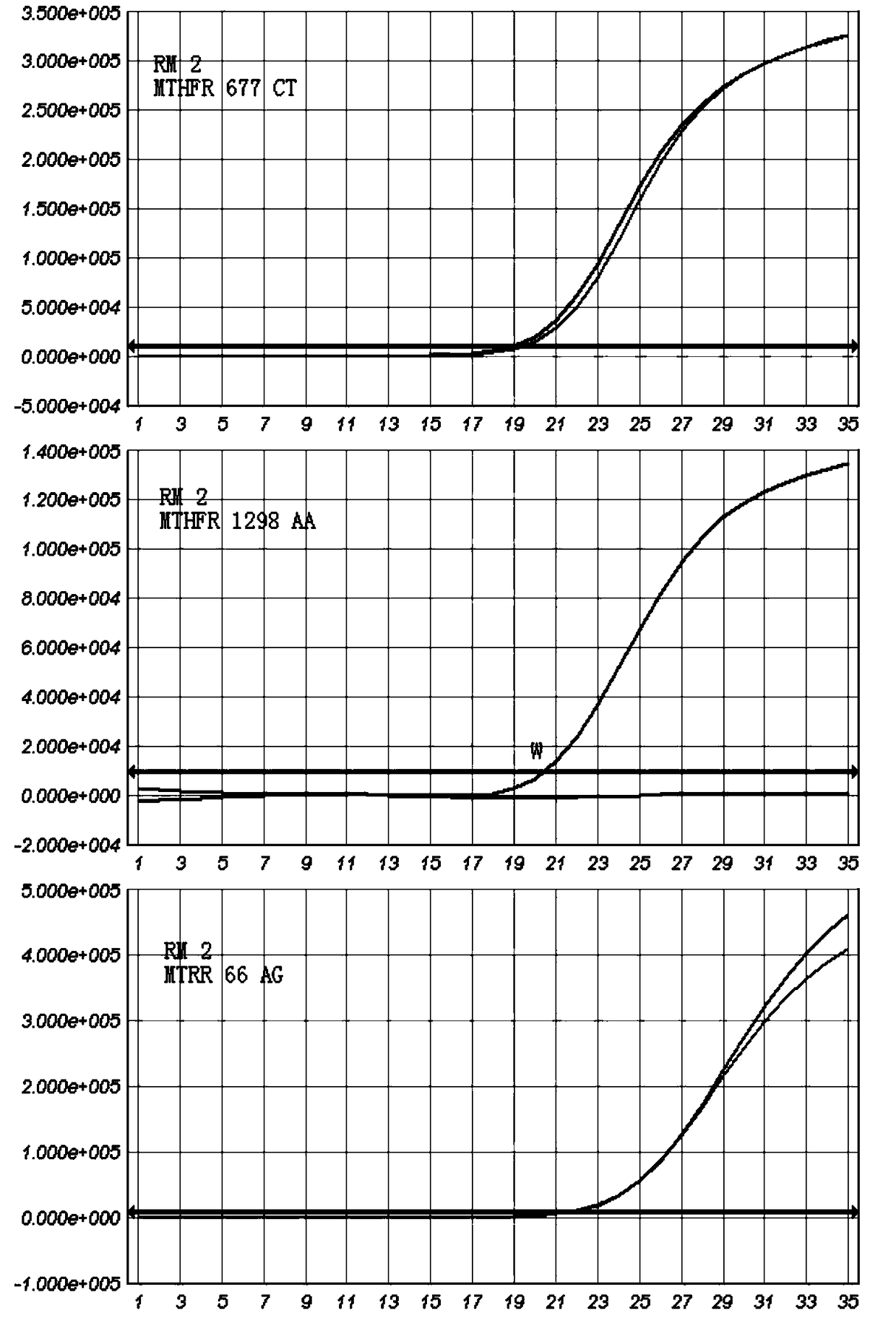 Mthfr and mtrr gene polymorphism detection primer sets and kits