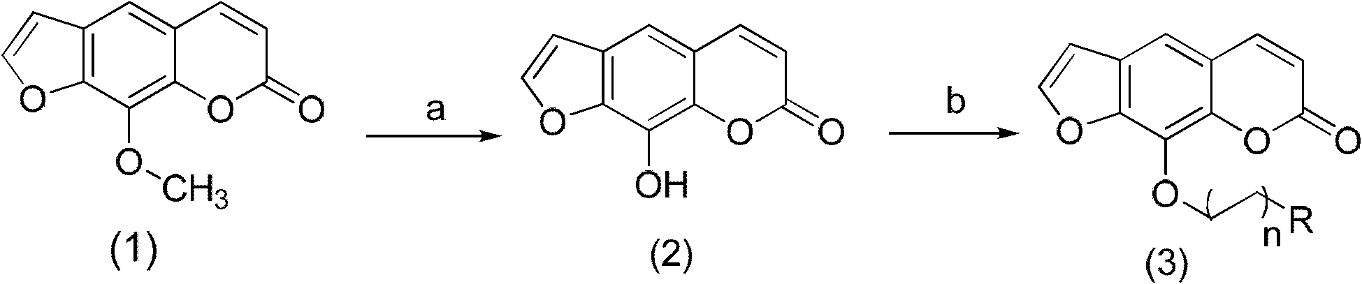 Furocoumarin compound with hypertension activity reducing function and preparation method thereof