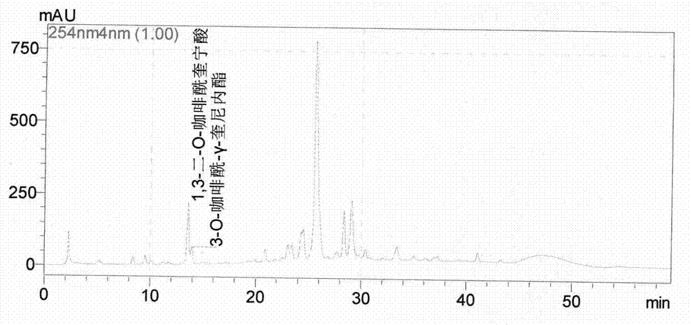 Preparation method of total phenolic acid of erigeron breviscapus