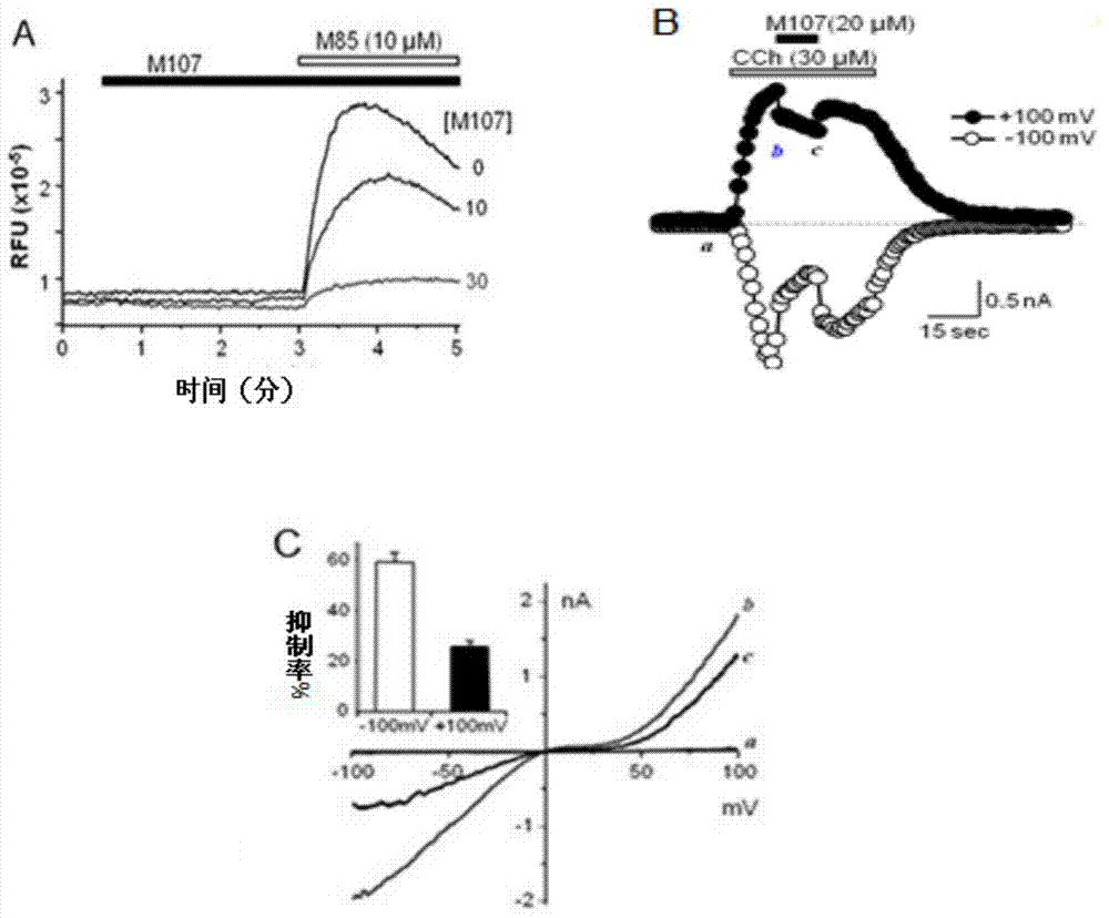 Pyrazolopyrimidine compound and pharmaceutical composition thereof as well as pharmaceutical application of pyrazolopyrimidine compound