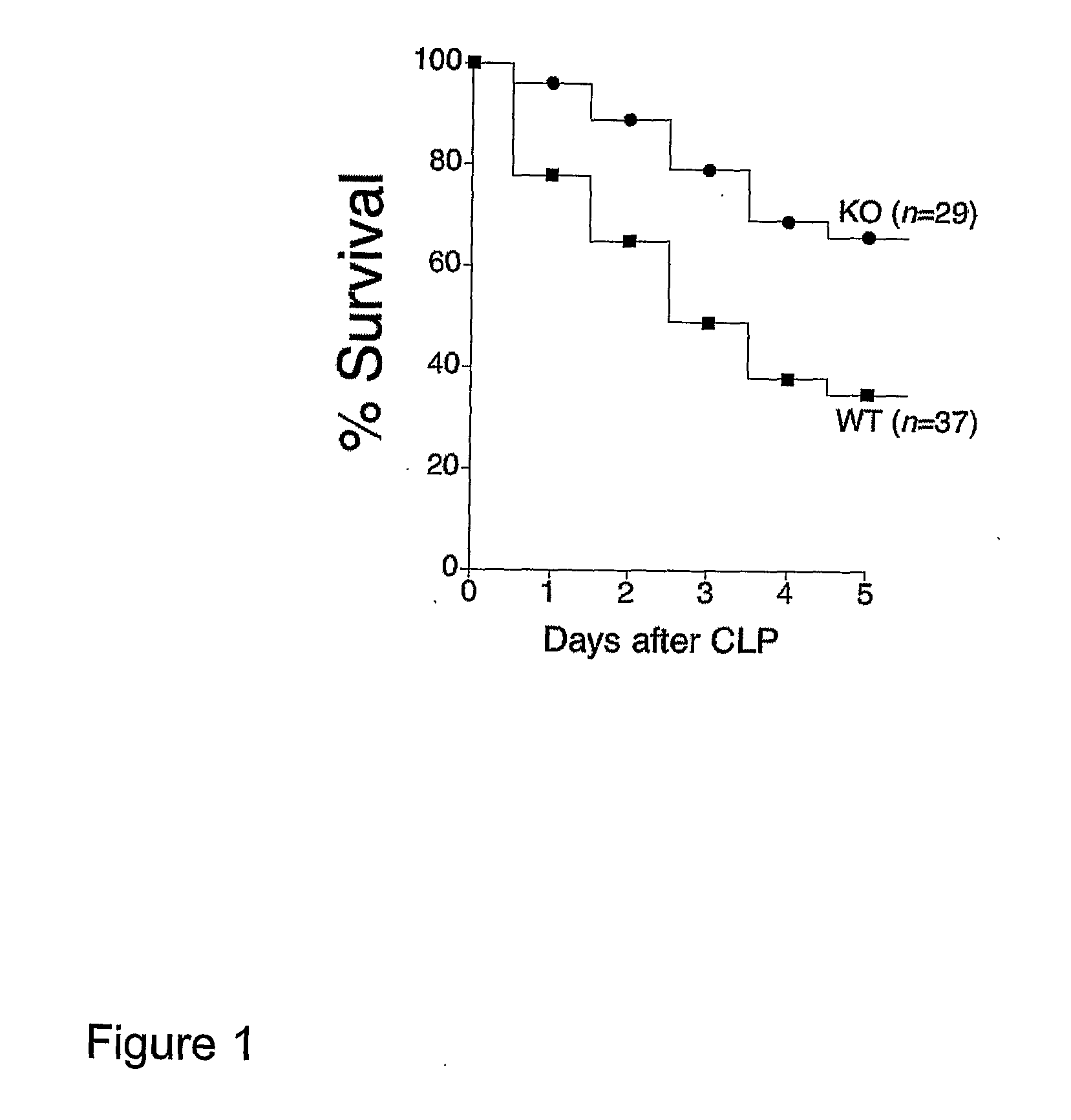 Sepsis Prevention Through Adenosine Receptor Modulation