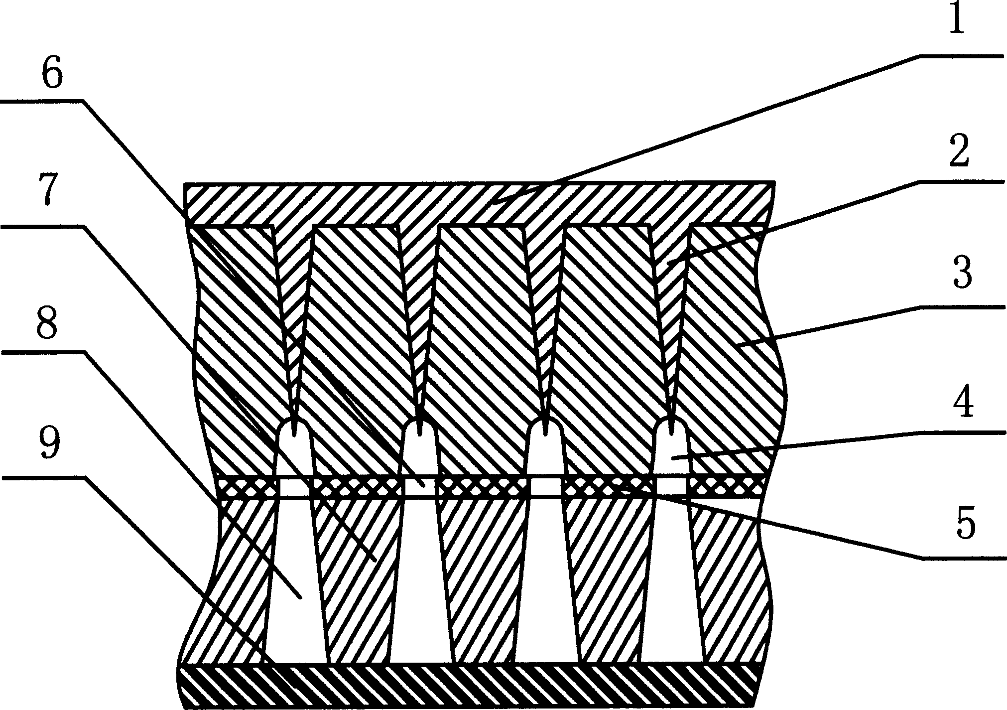 Mfg. field emitting vacuum microelectronic element by utilizing nulear track tech and display thereof