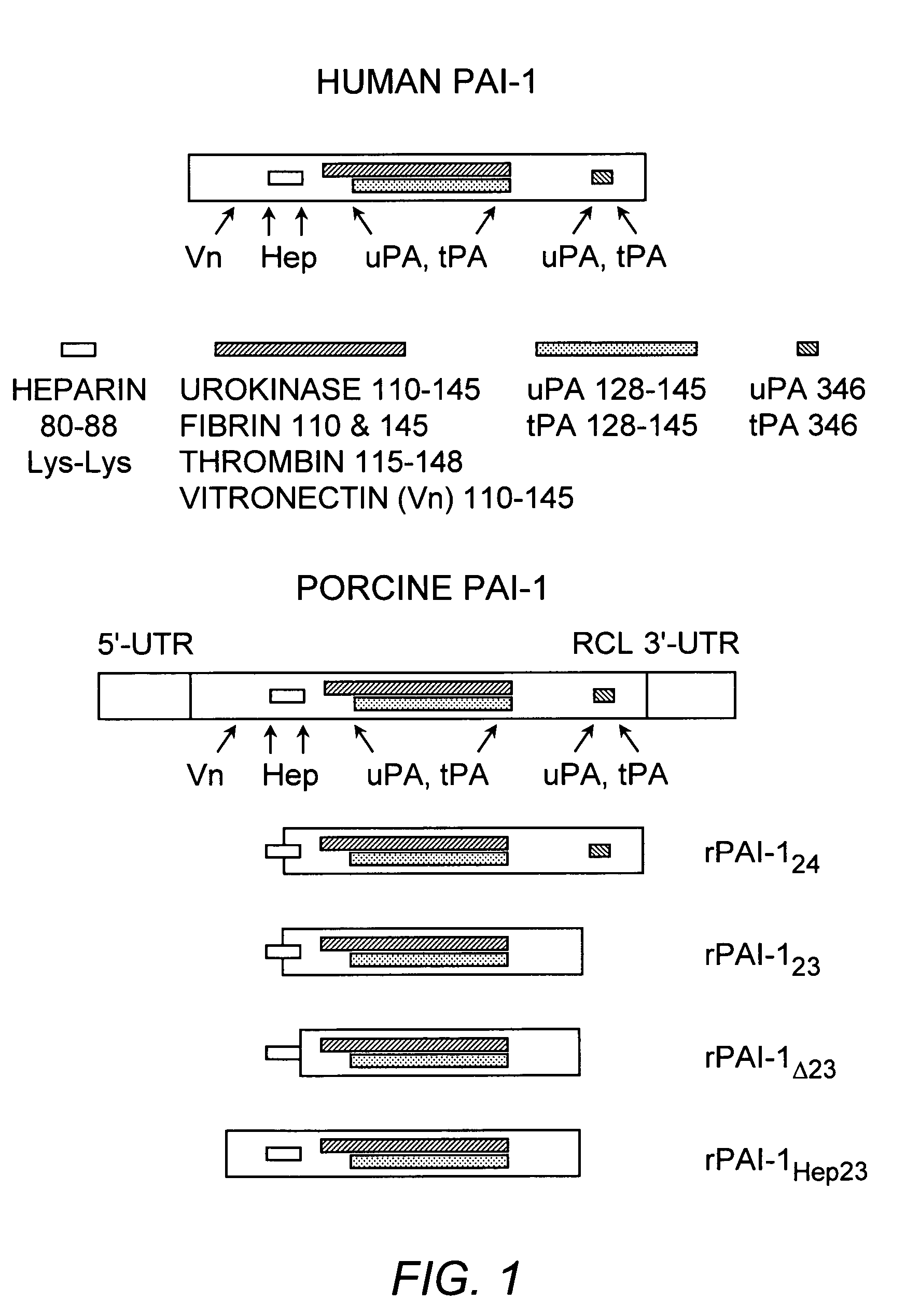 Methods for modulating angiogenesis