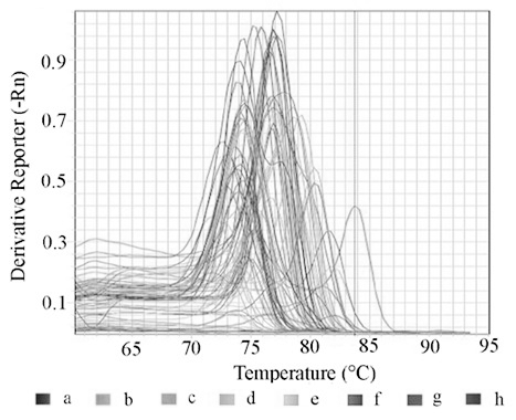 Method for rapidly detecting and parting staphylococcal enterotoxin in food by fluorescent polymerase chain reaction (PCR) method