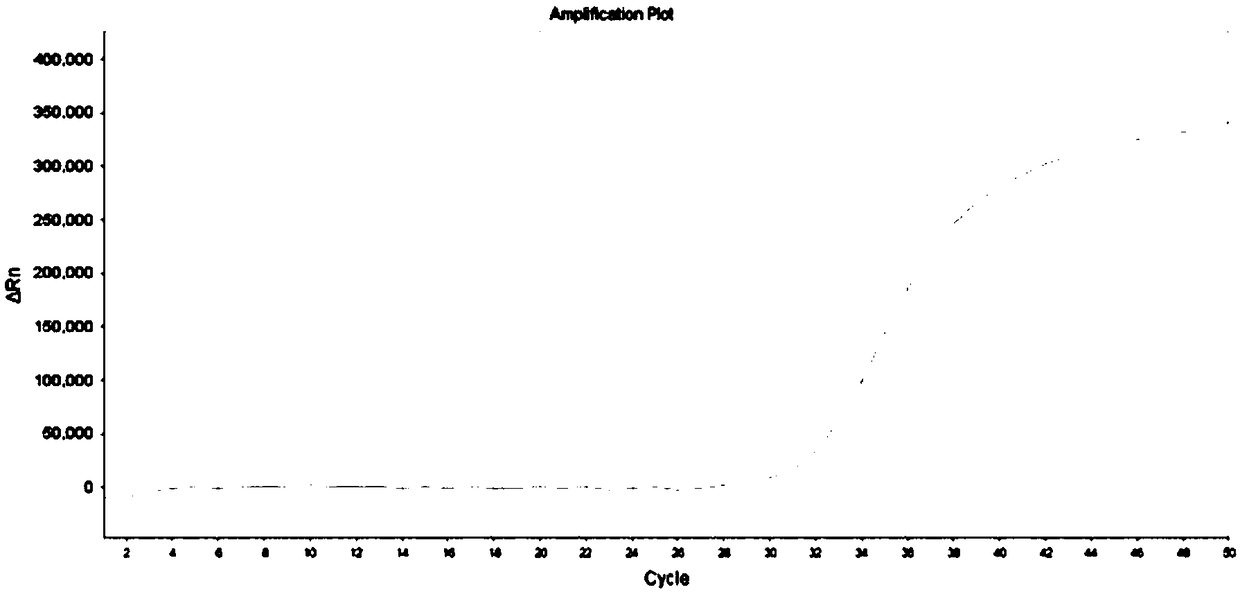 Human HLA-B*5801 genotype kit and method