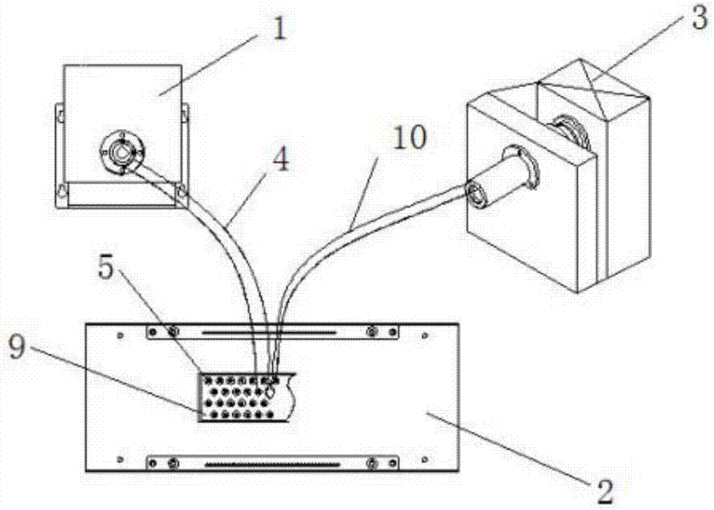 Fluorescence detection device