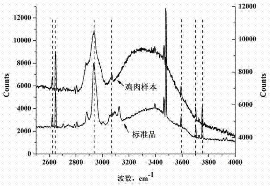 Rapid detection method of umami substance inosinic acid in fresh chicken based on Raman spectroscopy