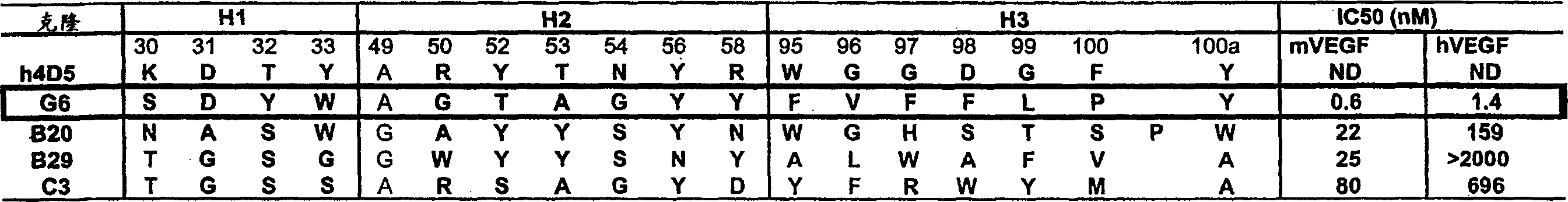 Anti-VEGF antibodies