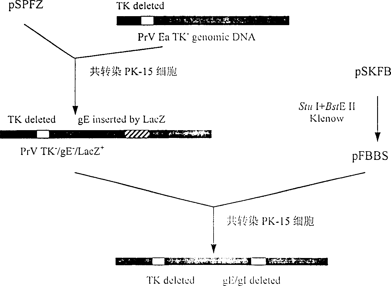 Pseudorabies TK*/gE*/gI* gene dificiency mark live vaccine and preparation method thereof