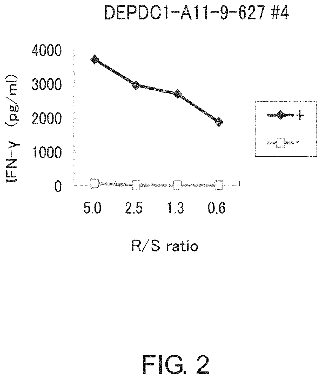 DEPDC1-derived peptide and vaccine containing same