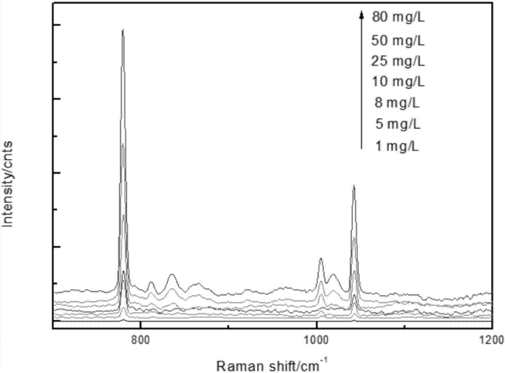 Preparation method and application of raman substrate