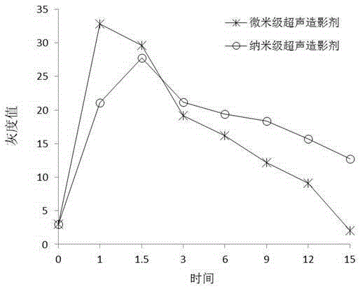 A nano-lipid ultrasound contrast agent and its preparation method