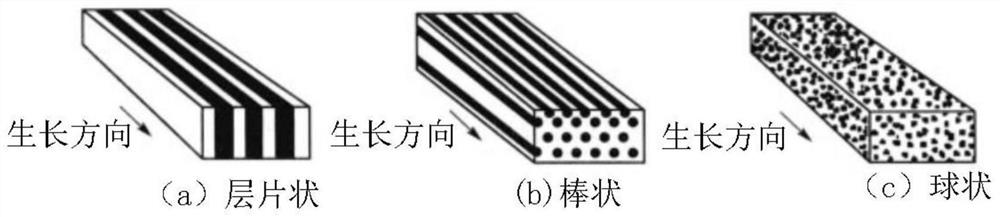 Method for preparing fe-al-ta multifunctional integrated material by Bridgman directional solidification technology