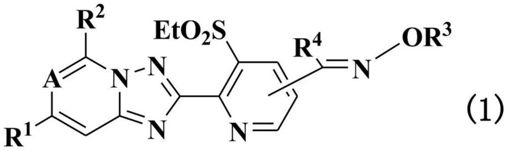 Condensed heterocyclic compound or salt thereof comprising nitrogen atom in cross-link, and agricultural pesticide containing said compound and method for using same