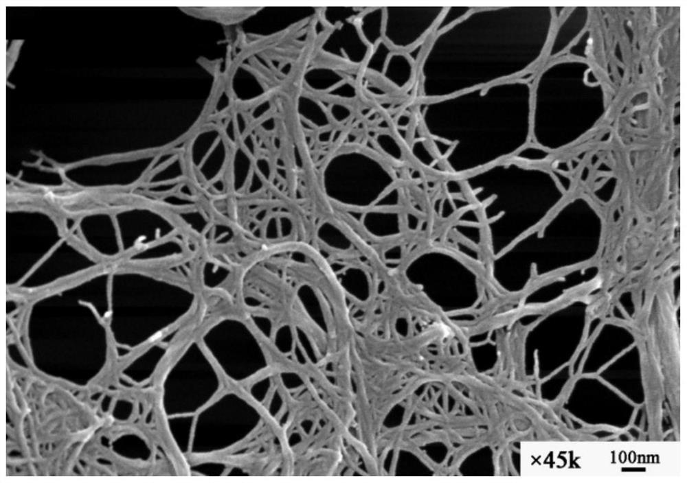 A method for preparing cellulose nanofibrils by pretreatment of deep eutectic solvent