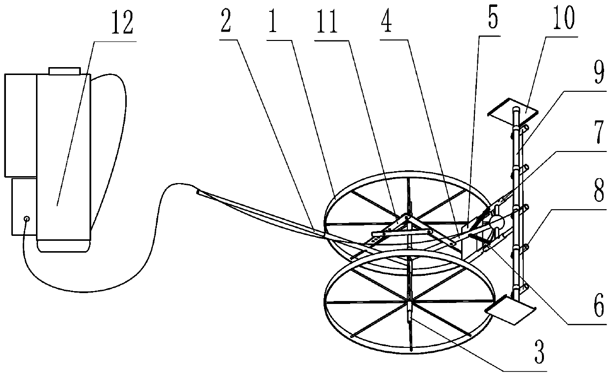 Spraying device for rapeseed production