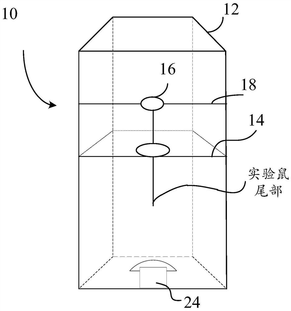 Microfauna tail fixing device for tail suspension test