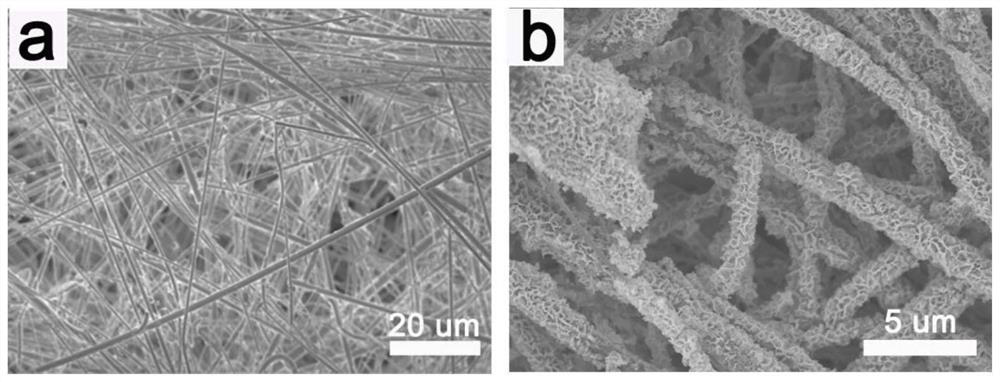 Photothermal conversion material and application thereof in seawater desalination and salt recovery